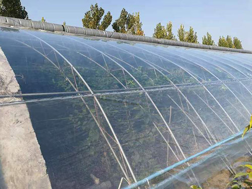 大棚po膜
