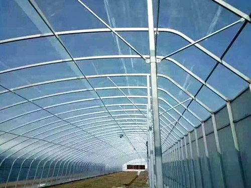 大棚po膜